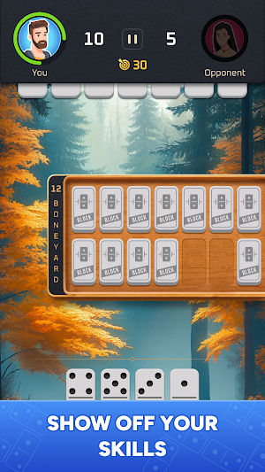 Dominoes Tour — Classic Domino Screenshot 1