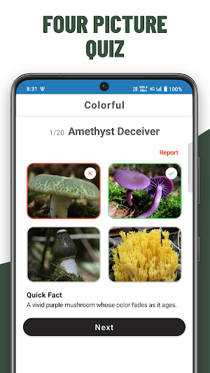 Mushrooms Quiz - Guess species Screenshot 1