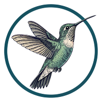 JS KOLIBRI