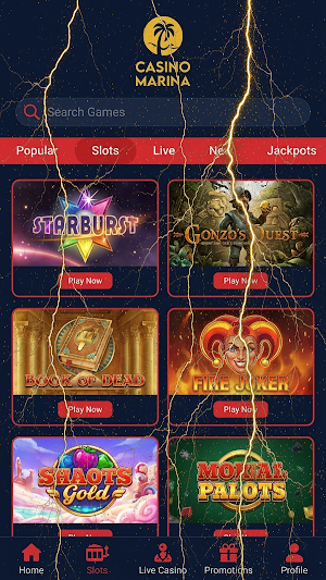 Marina Casino Screenshot 3