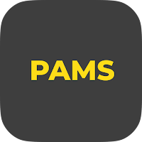 MAX ONE PAMS