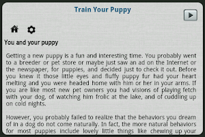 Train Your Puppy Screenshot 3