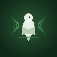 Bird Song NZ