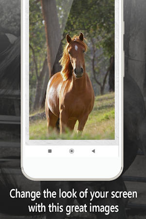 horse wallpapers, backgrounds Screenshot 2