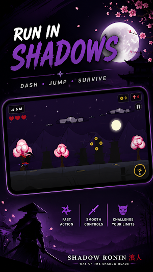 Shadow Ronin: Ninja Assassin Screenshot 3