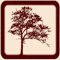 Far From The Madding Crowd by 