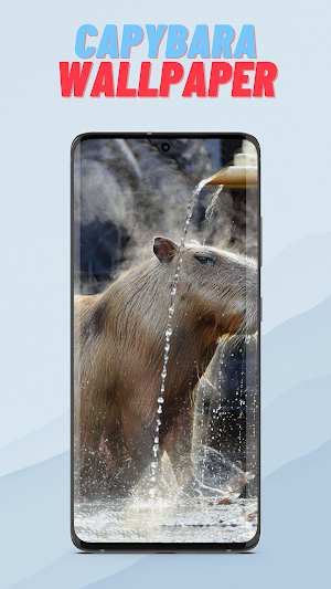 Capybara Wallpaper HD Screenshot 3