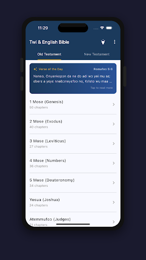 Asante Twi Bible & Audio Screenshot 0