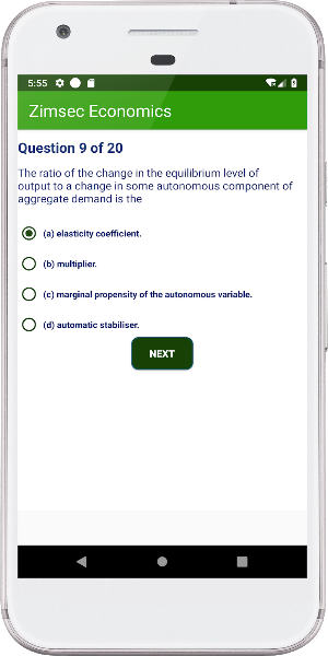 Zimsec Economics Revision Screenshot 3
