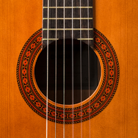 Learn Guitar - Simple Guitar