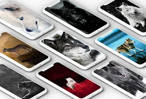 Wolf Wallpaper 🐺 Screenshot 0