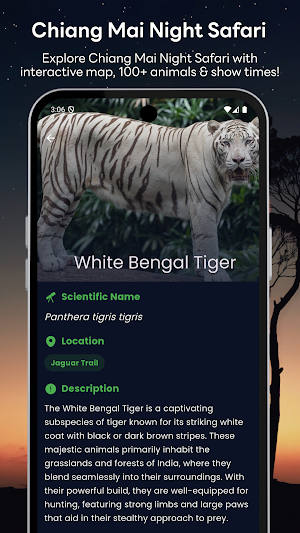 Chiang Mai Night Safari Screenshot 2