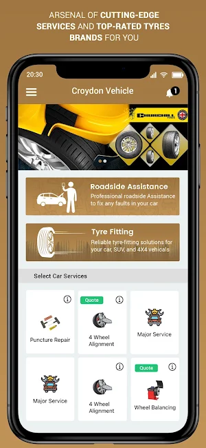 Croydon Vehicle Services Screenshot 0