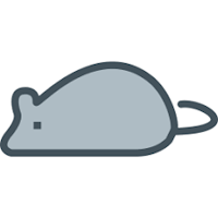 Run My Mouse Game