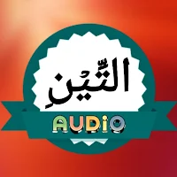 Surah Teen Audio