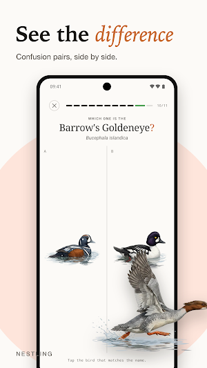 Nestling: Learn Birds Screenshot 2