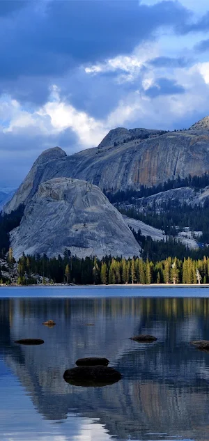 Samsung S22 ultra Wallpaper Screenshot 3