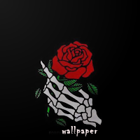 Dark Wallpaper Black HD And 4K