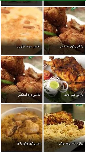 Pakistani Recipes in Urdu Screenshot 2