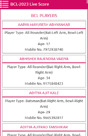 Brahmin Cricket League Screenshot 1