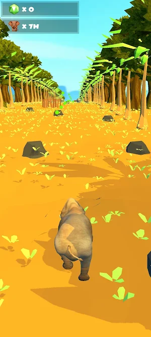 Animal Run Screenshot 3