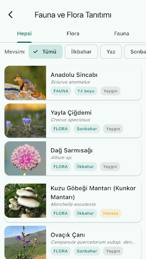 Tunceli Dijital Screenshot 3