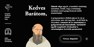 Gyógyító növények számos bajra Screenshot 0