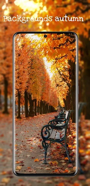 Backgrounds autumn Screenshot 0