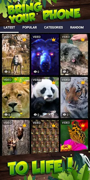 animal wallpaper Screenshot 1