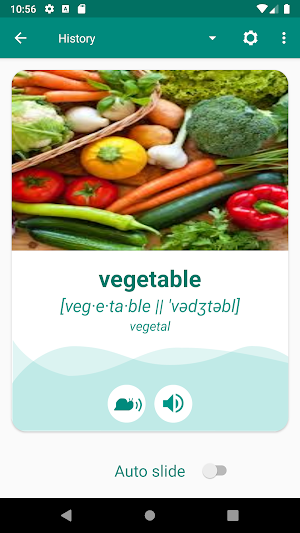 Spanish English Dictionary Screenshot 1