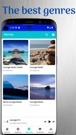 Lounge Music Radio Screenshot 3