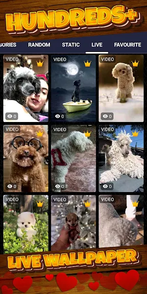 poodle wallpaper Screenshot 2