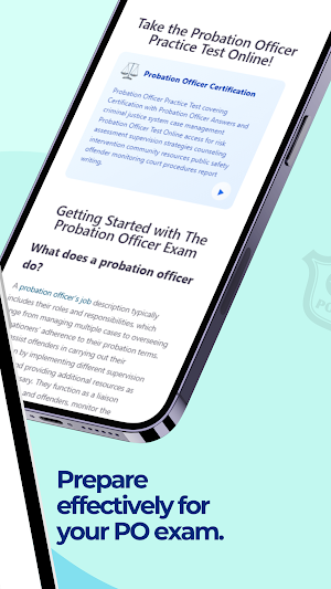 Probation Officer Test Screenshot 1