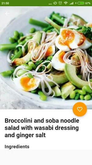 Vegetarian Recipes Offline Screenshot 0