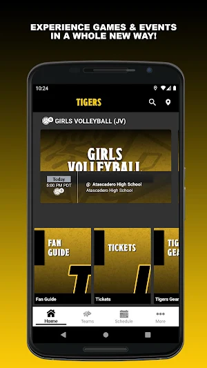 Tiger Teams Screenshot 0