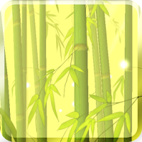 Bamboo Forest Free L.Wallpaper