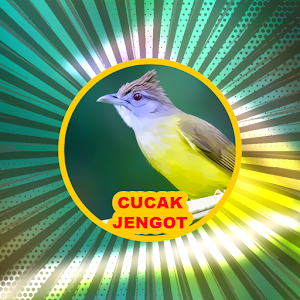 Masteran Cucak Jenggot Screenshot 3
