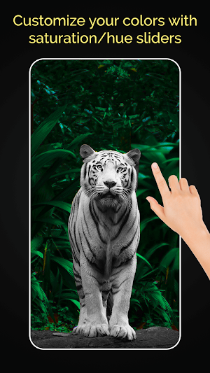 Change Color in Photos Screenshot 2