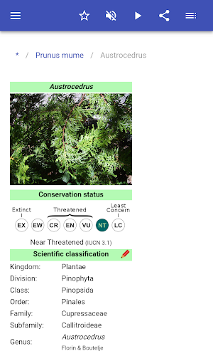 Ornamental trees Screenshot 2