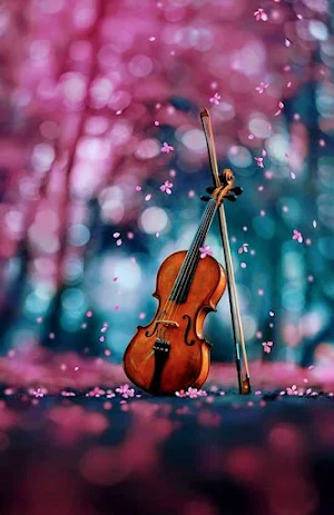 Violin Wallpapers Screenshot 0