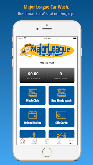 Major League Car Wash Screenshot 0