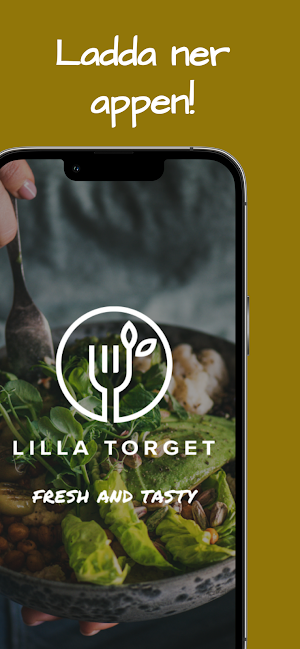 Lilla Torget Screenshot 0