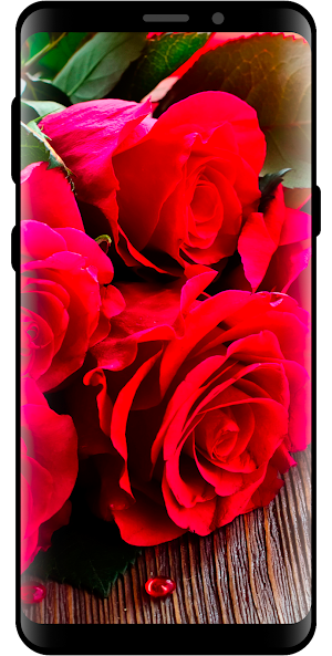 10000 Nature Wallpapers PRO Screenshot 2
