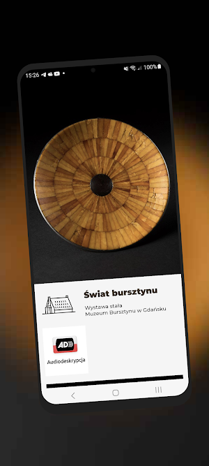 Muzeum Bursztynu Screenshot 0