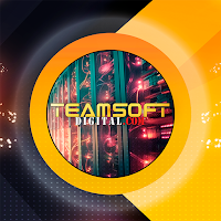 TEAM SOFT DIGITAL