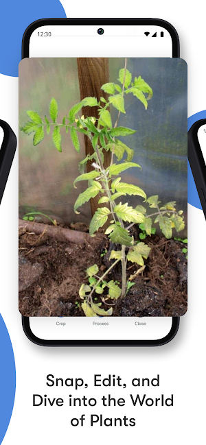 RootSnap Plant Identification Screenshot 1