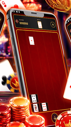 Baccarat & Card games Screenshot 3
