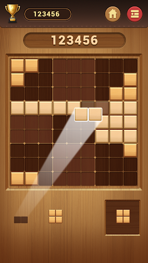 Wood Block Sudoku Game -Classic Free Brain Puzzle Screenshot 0