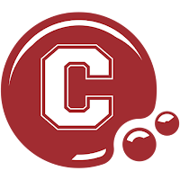 ConnectPaye