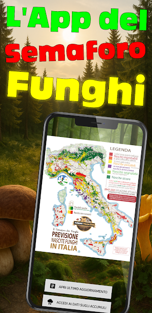 Semaforo dei Funghi Screenshot 0